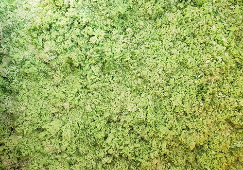 化学镍废液处理 化学镍废液处理